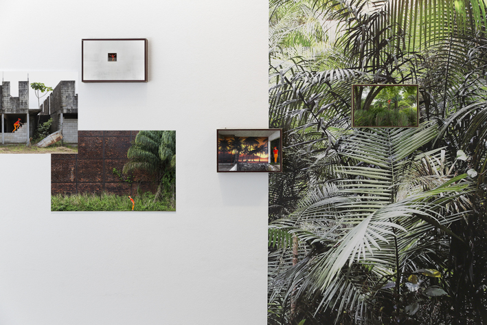 Exhibition view - Ibiscube - House of architecture french Guiana - Biennial Les Rencontres photographiques - Pigment prints on enthomologic box and vinyl  